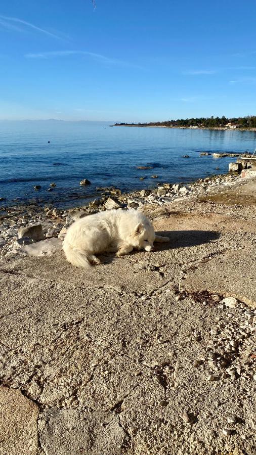 Vila Bianca Umag Exteriér fotografie