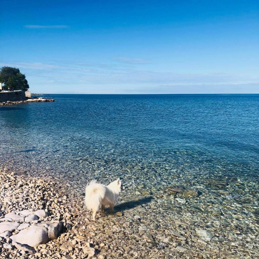 Vila Bianca Umag Exteriér fotografie